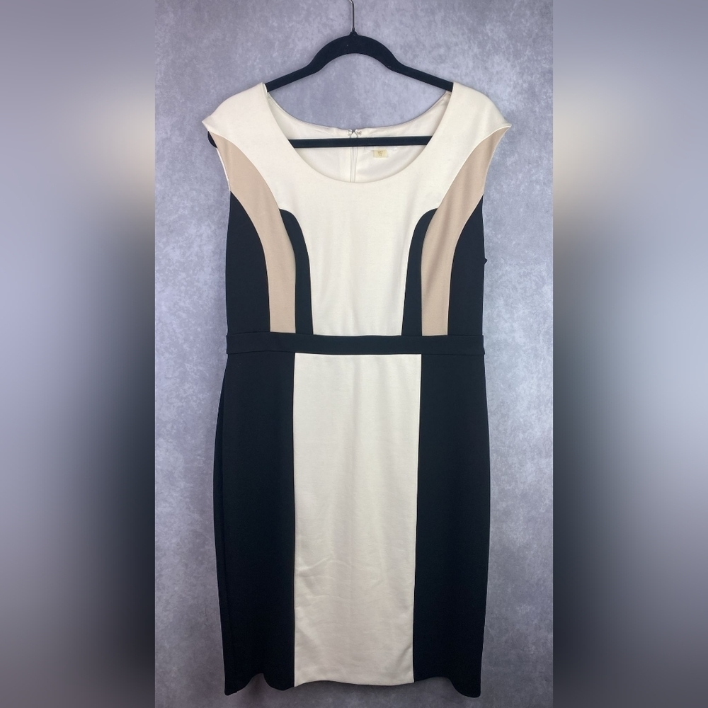 Calvin Klein Women's Sleeveless Color Block Sheath Dress (Size 12)